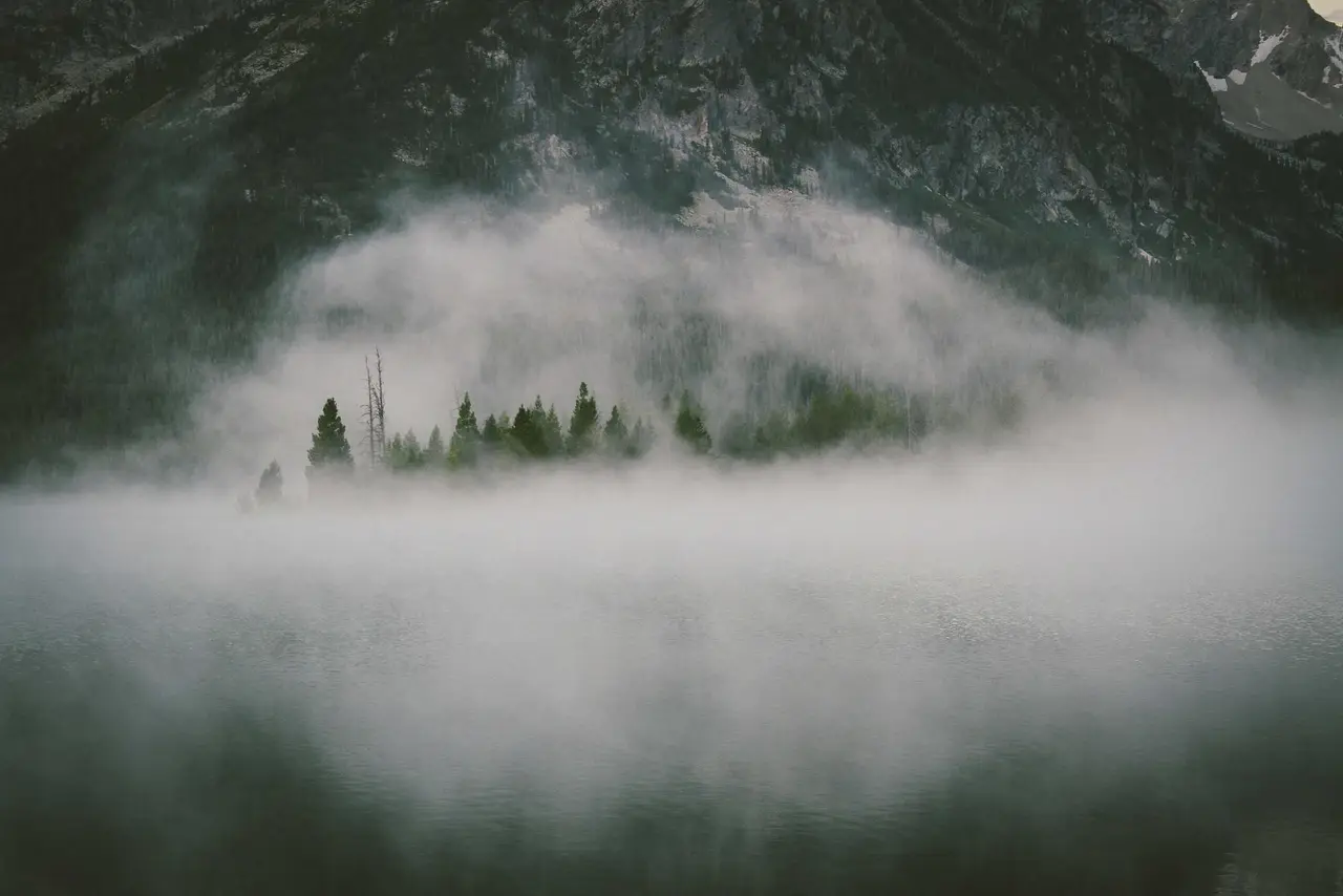 Brume sur une forêt de montagne